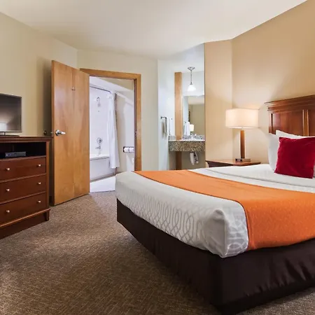 Best Western University Inn Fort Collins Exterior photo