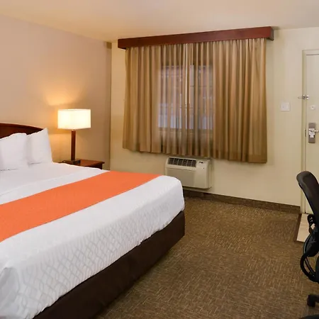 Best Western University Inn Fort Collins Exterior photo